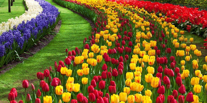 Best Srinagar Tour Package 6 Nights 7 Days