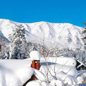 Best Kashmir Couple Tour Package