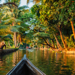Exclusive Kerala Honeymoon Tour Packages