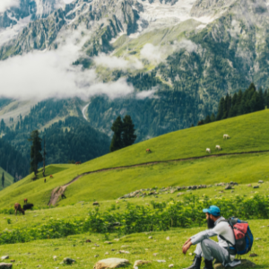 Best Clubindia Exclusive Kashmir Couple Honeymoon Tour Package