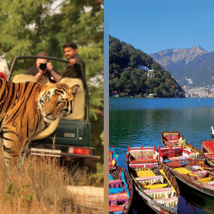 Best Jim Corbett Nainital Tour Package